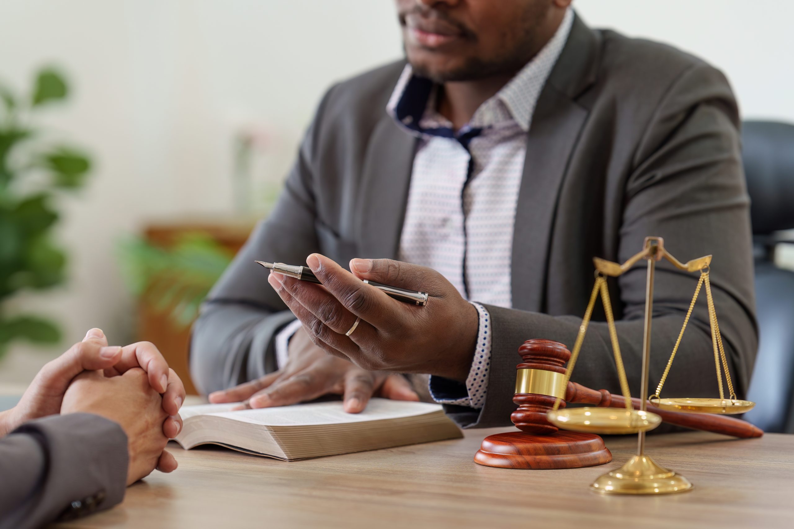 A lawyer consulting with a client about a case